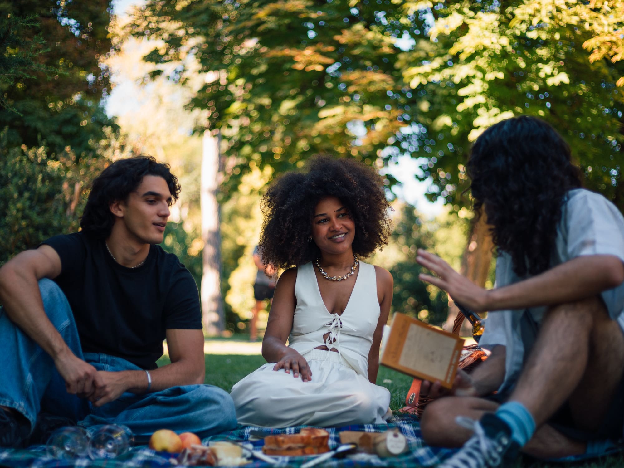 a group of people sitting on a blanket in a park