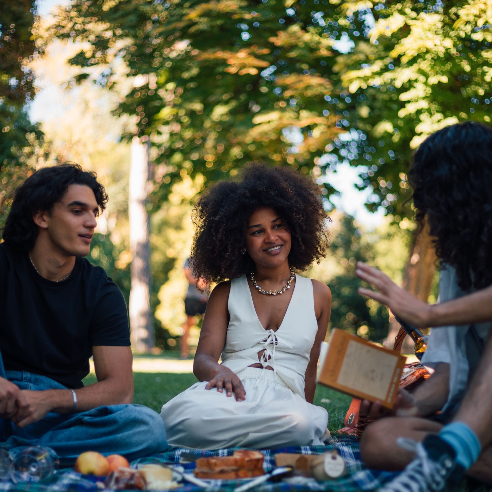 a group of people sitting on a blanket in a park