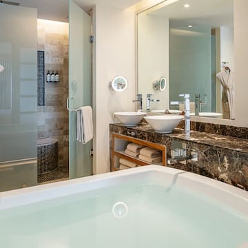 a bathroom with a bathtub and a shower