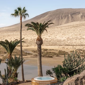 a hot tub with palm trees and a desert landscape