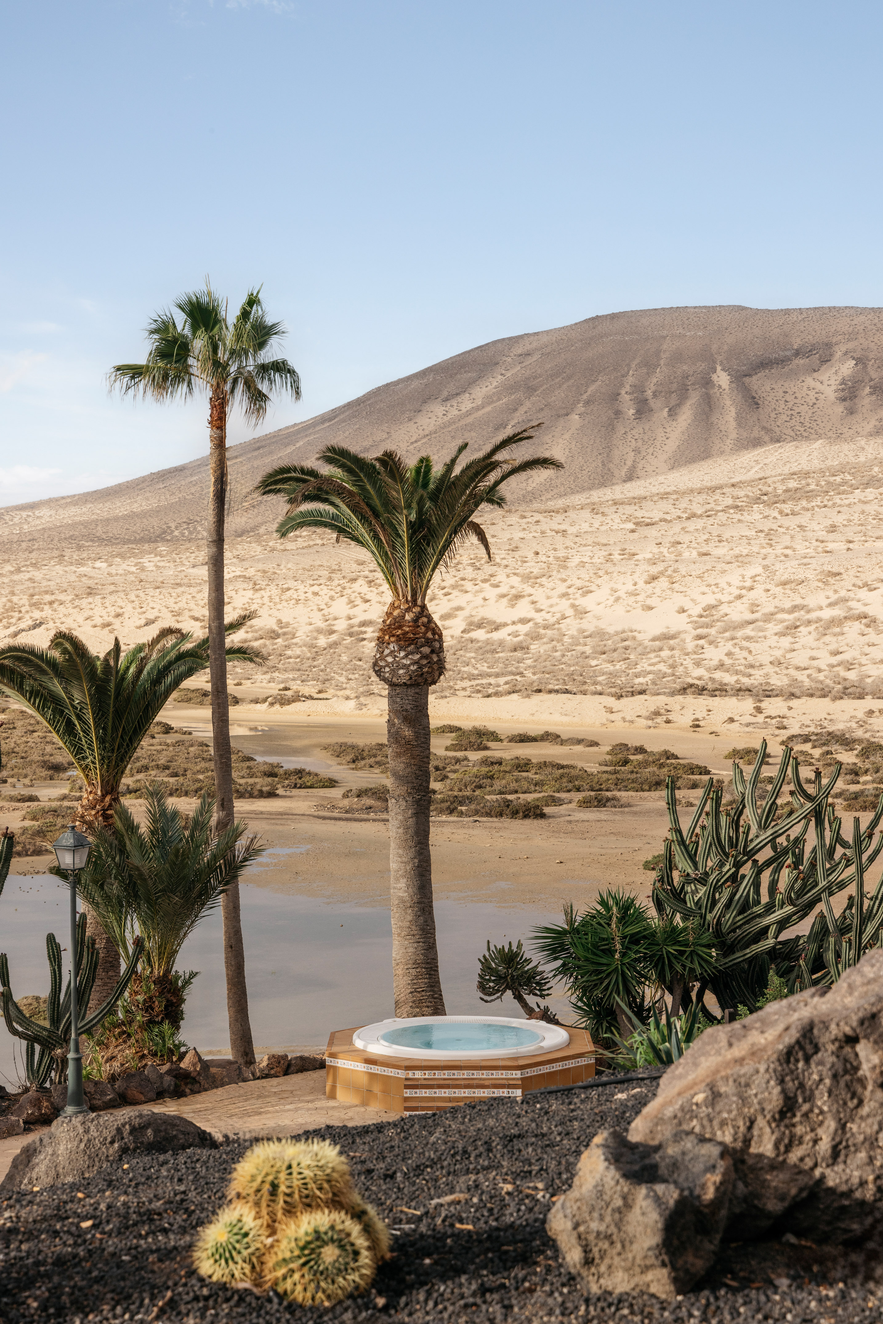 Tropical desert oasis with hot tub, palm trees, cacti, and sandy hills.