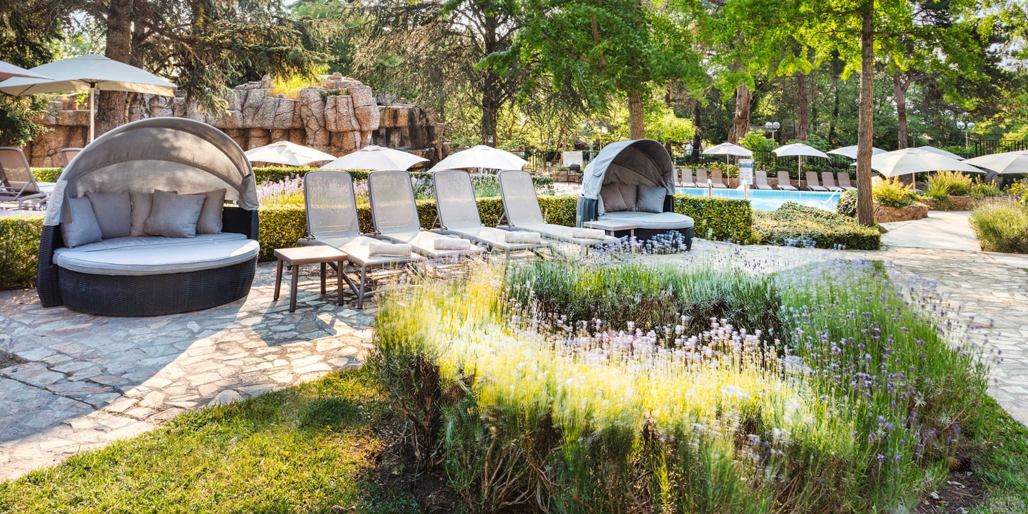 a group of chairs and umbrellas in a garden