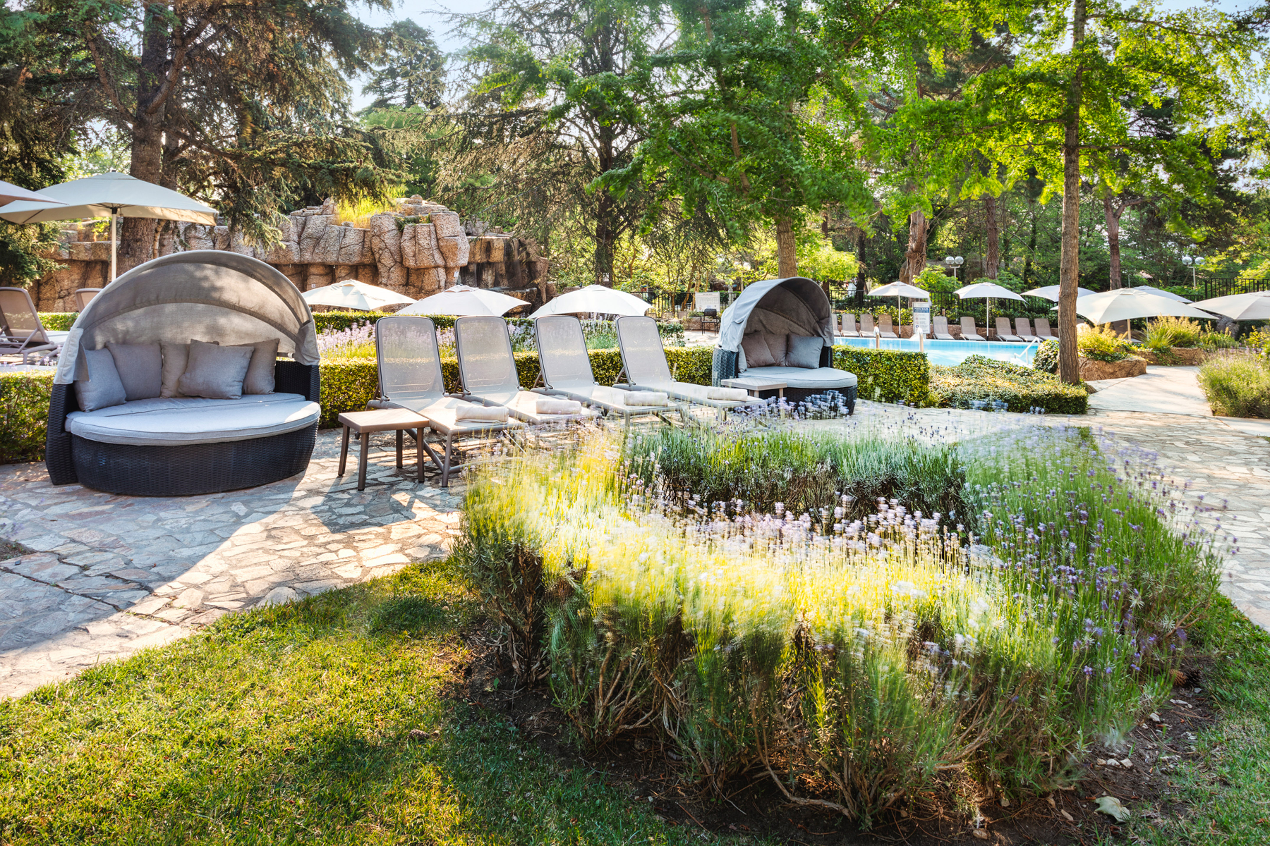 a group of chairs and umbrellas in a garden