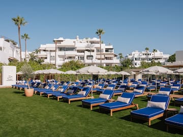 a group of lounge chairs and umbrellas on a lawn