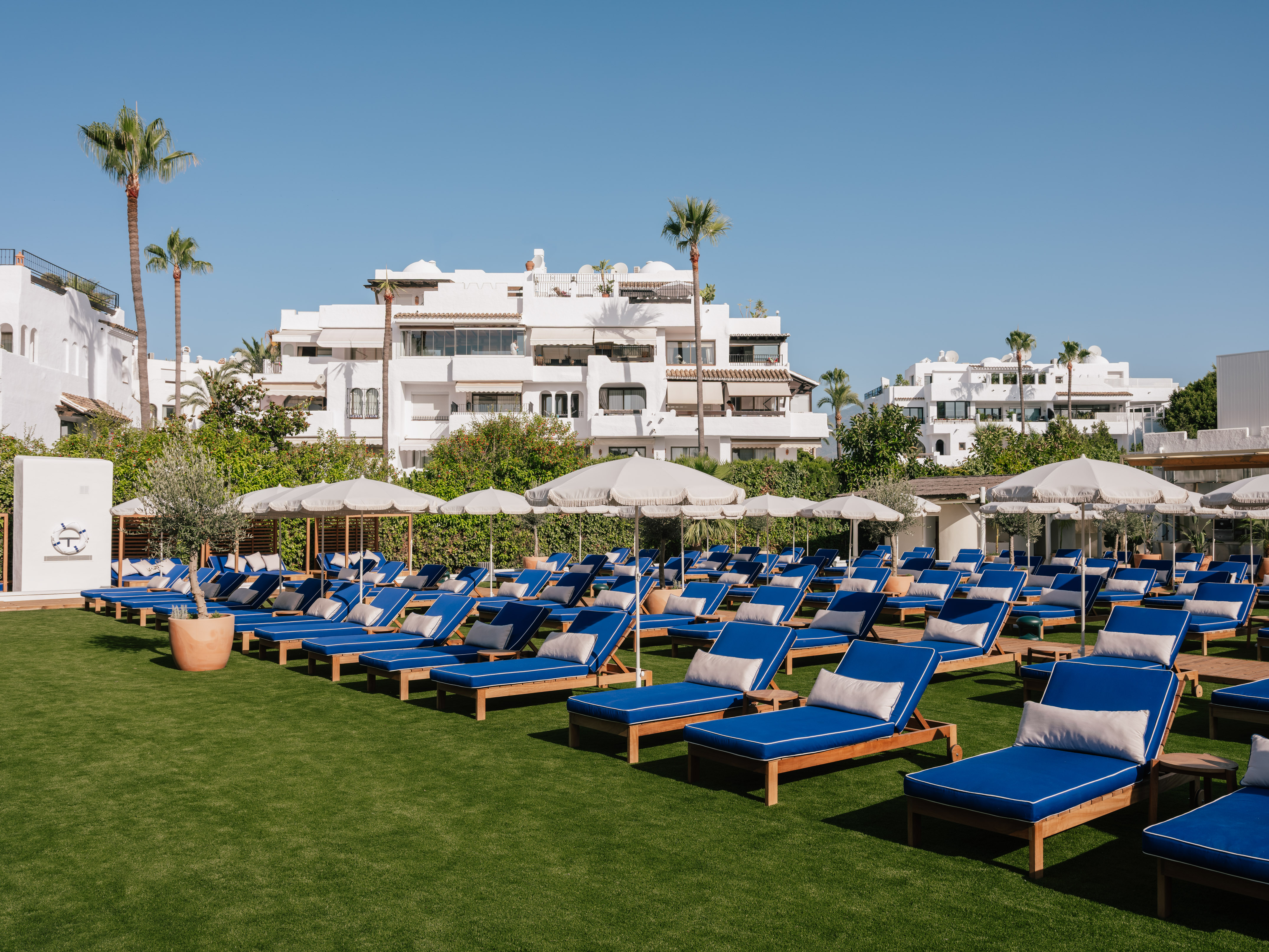 a group of lounge chairs and umbrellas on a lawn