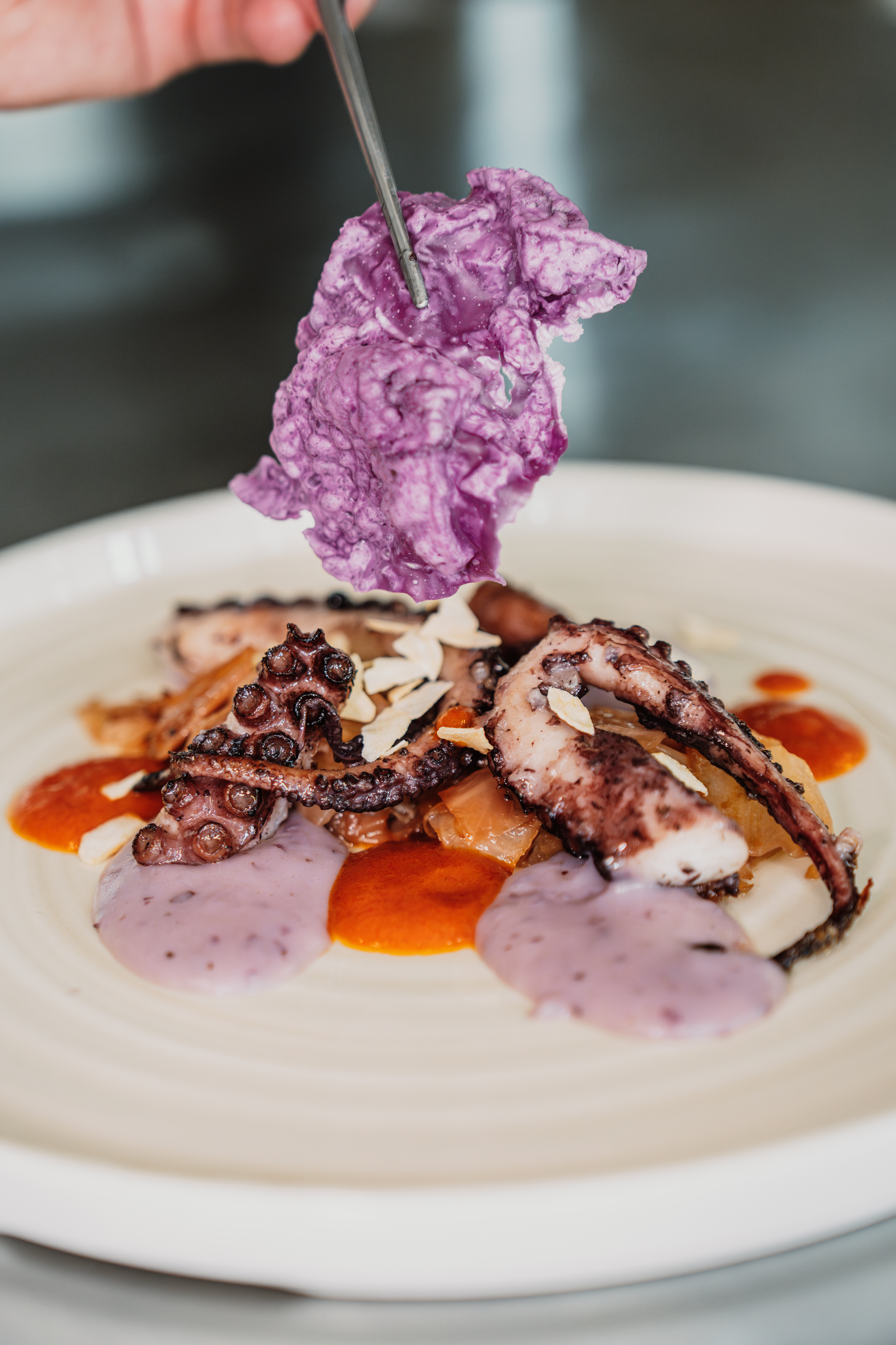 Gourmet grilled octopus, purple sauce, orange sauce, garnished with purple crisp.