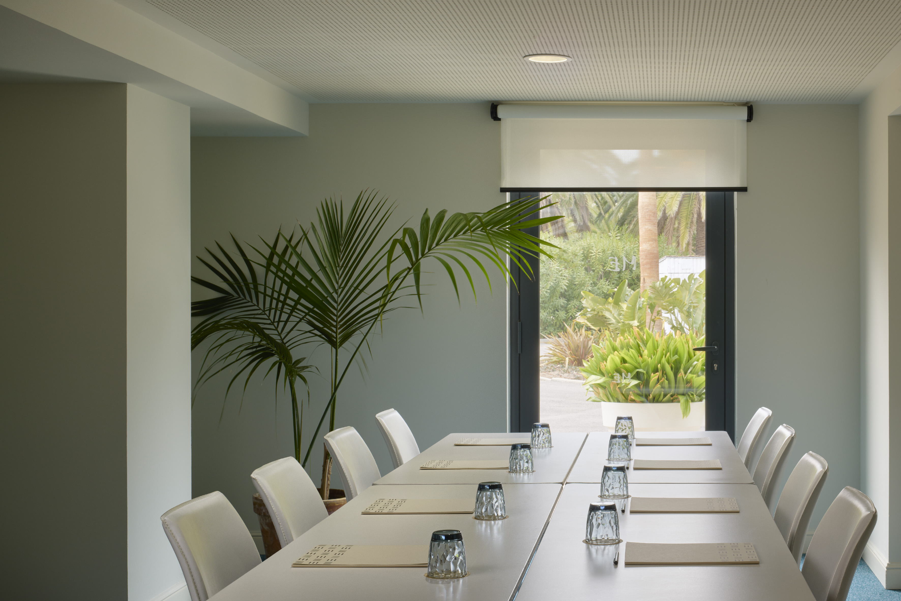 Modern meeting room with long table, palm plant, and tropical view.