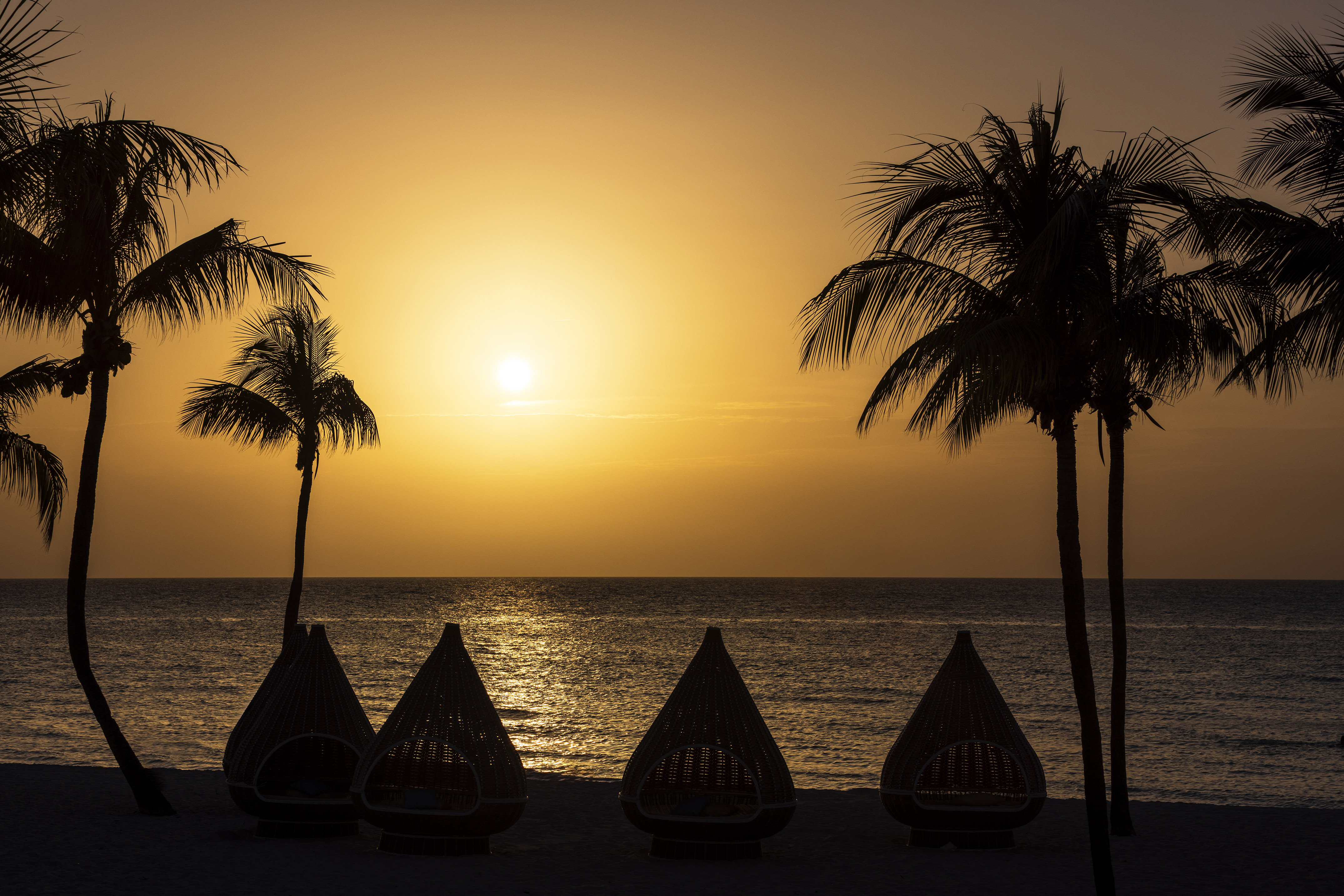 a group of palm trees and a beach chair