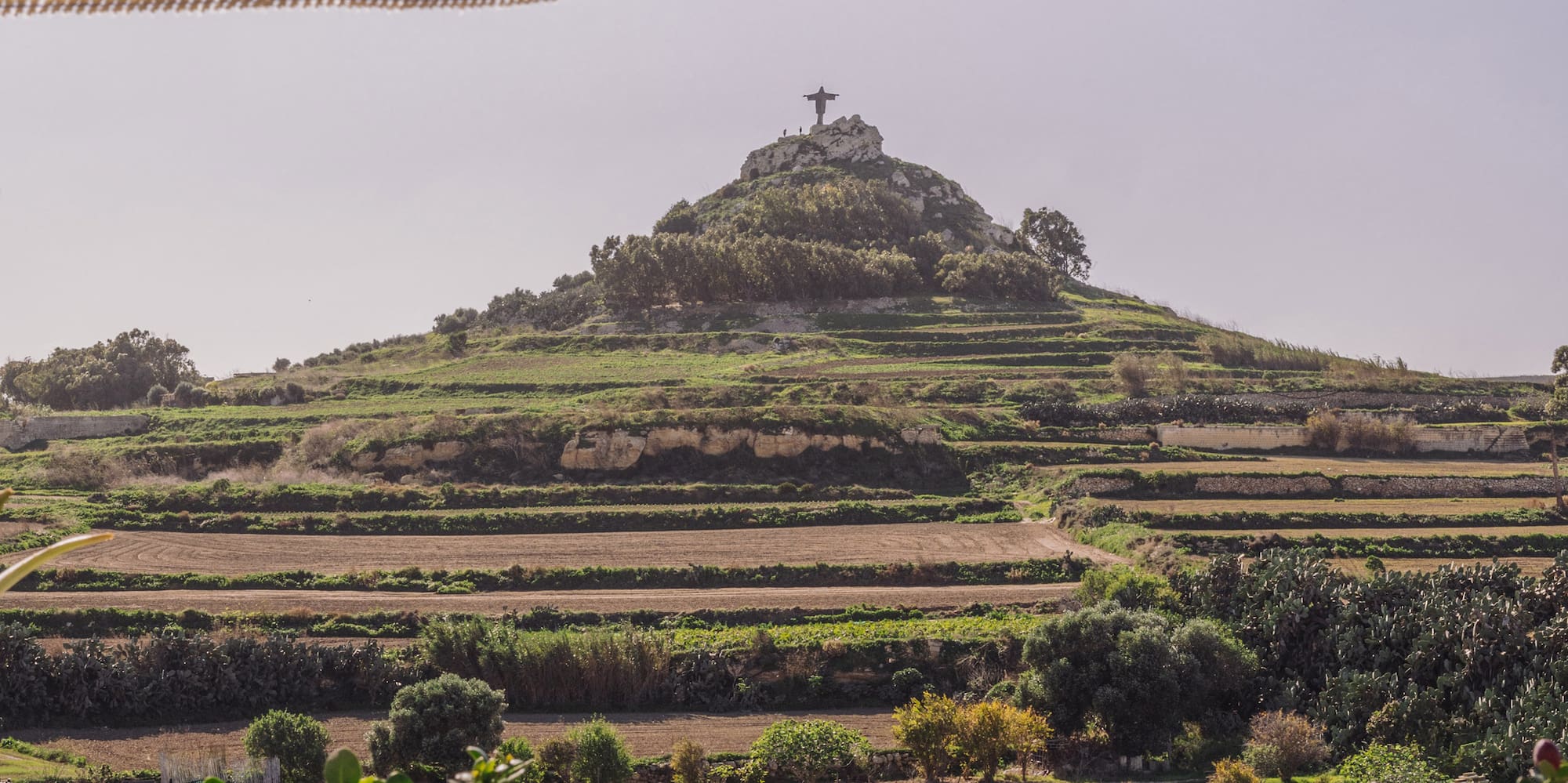 a hill with plants and a cross on top