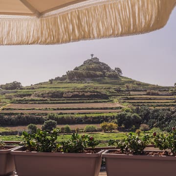 a hill with plants and a cross on top