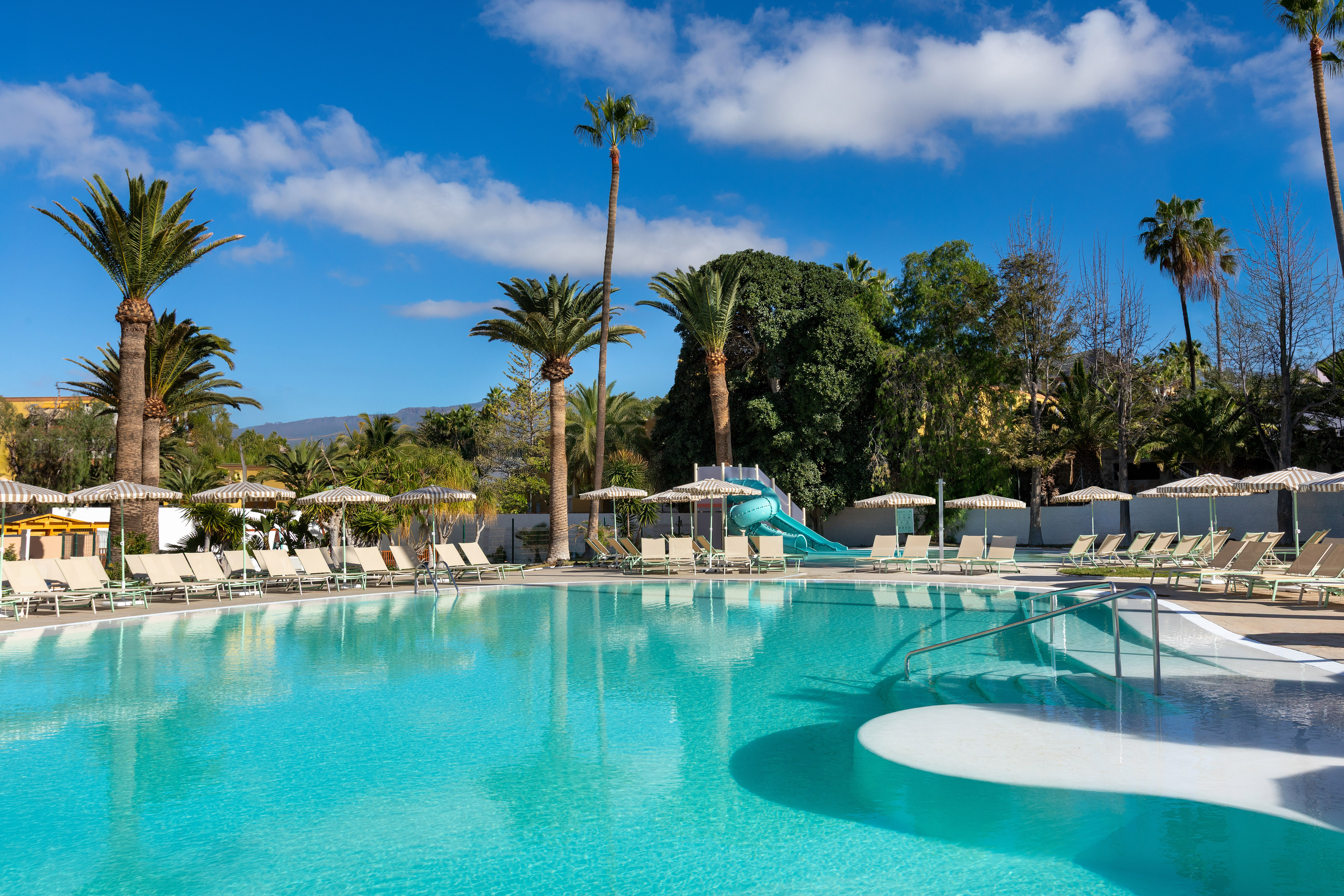 Resort swimming pool with palm trees, sun loungers, and blue water slide.