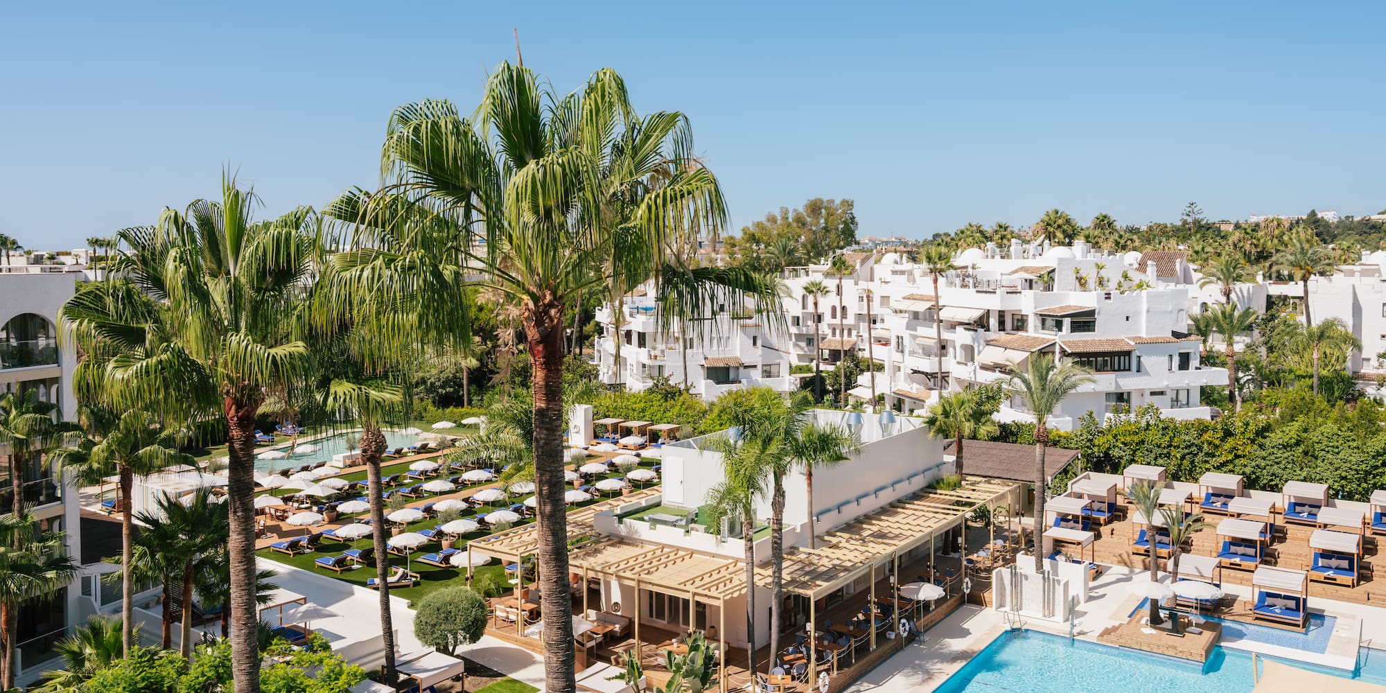 a pool and palm trees with a building in the background