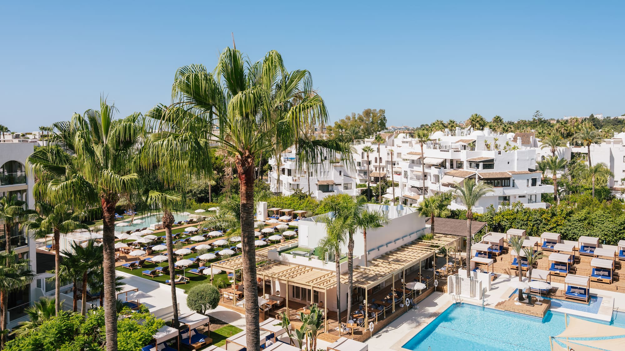 a pool and palm trees with a building in the background