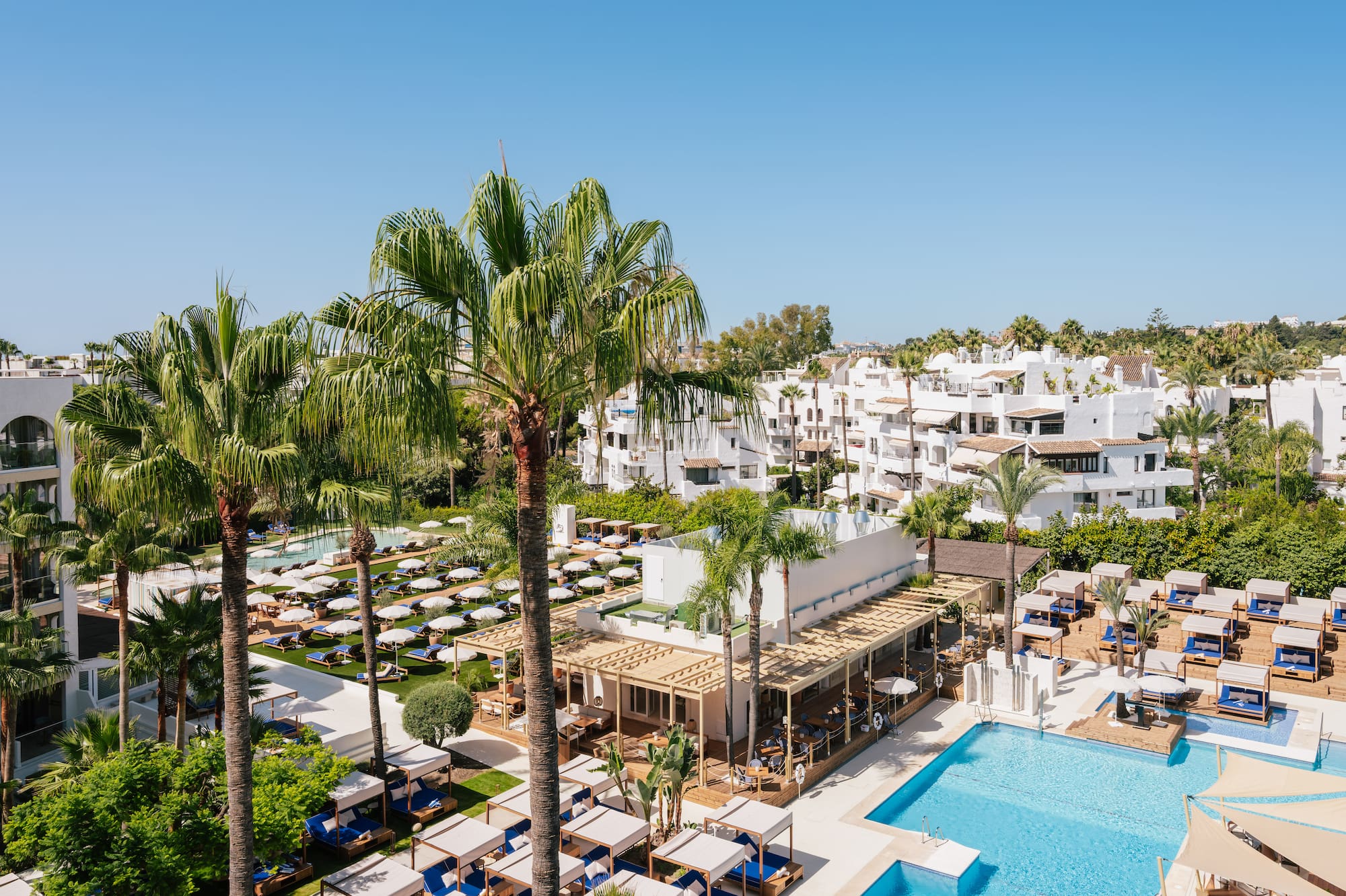 a pool and palm trees with a building in the background