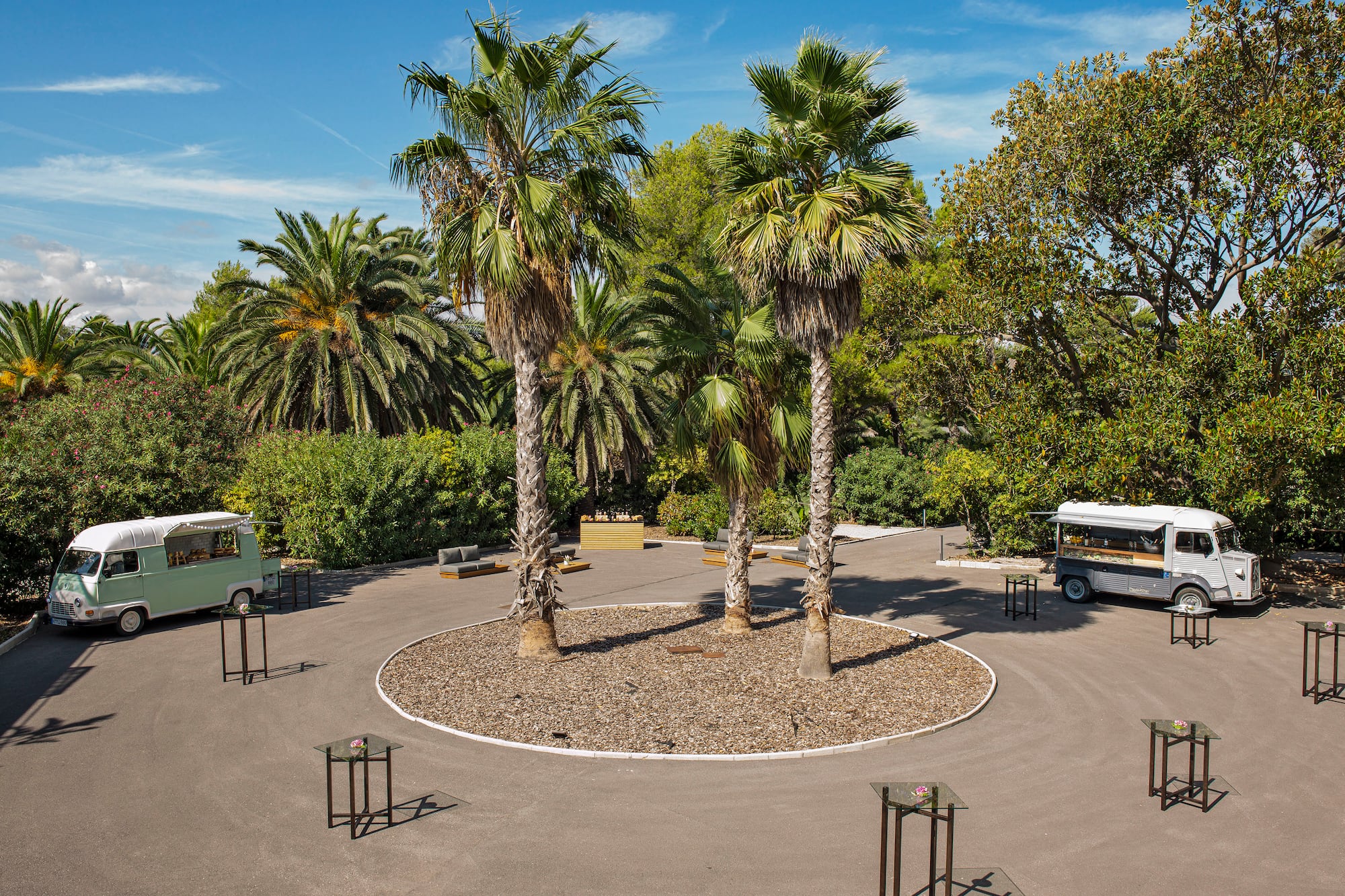 a group of palm trees and a circular object with a group of cars in the middle
