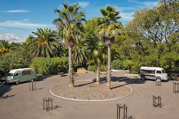 a group of palm trees and a circular object with a group of cars in the middle