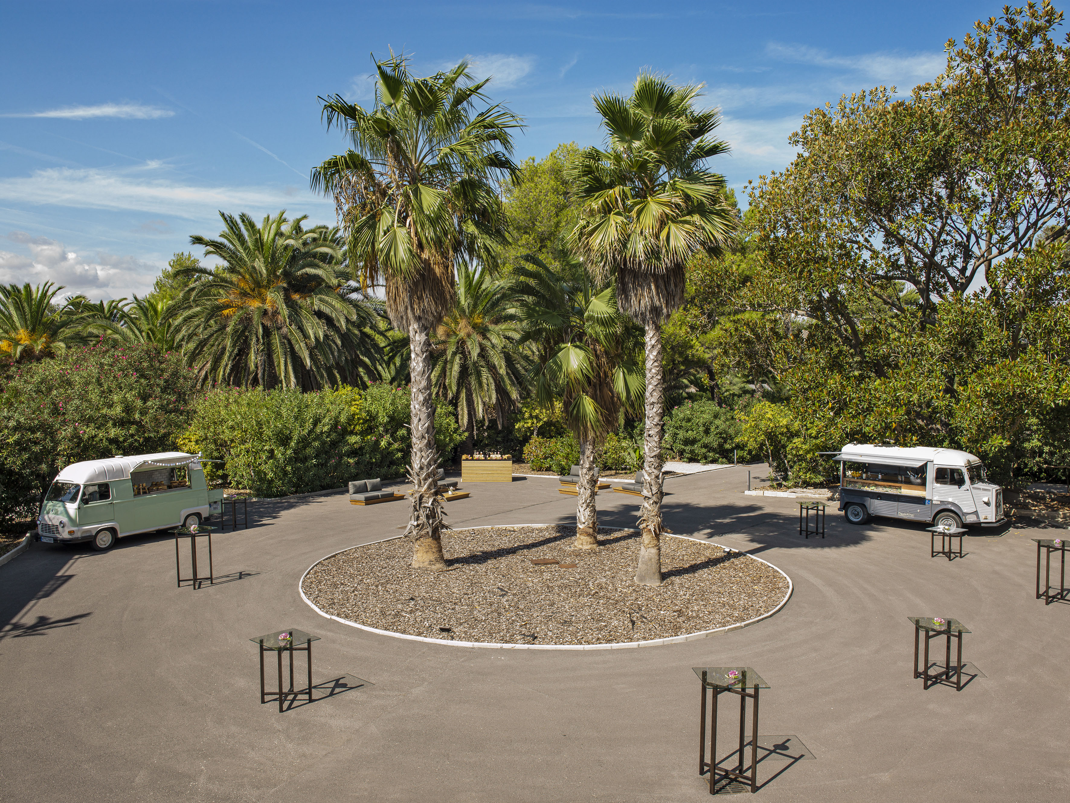a group of palm trees and a circular object with a group of cars in the middle