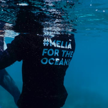 a person under water with a shirt on