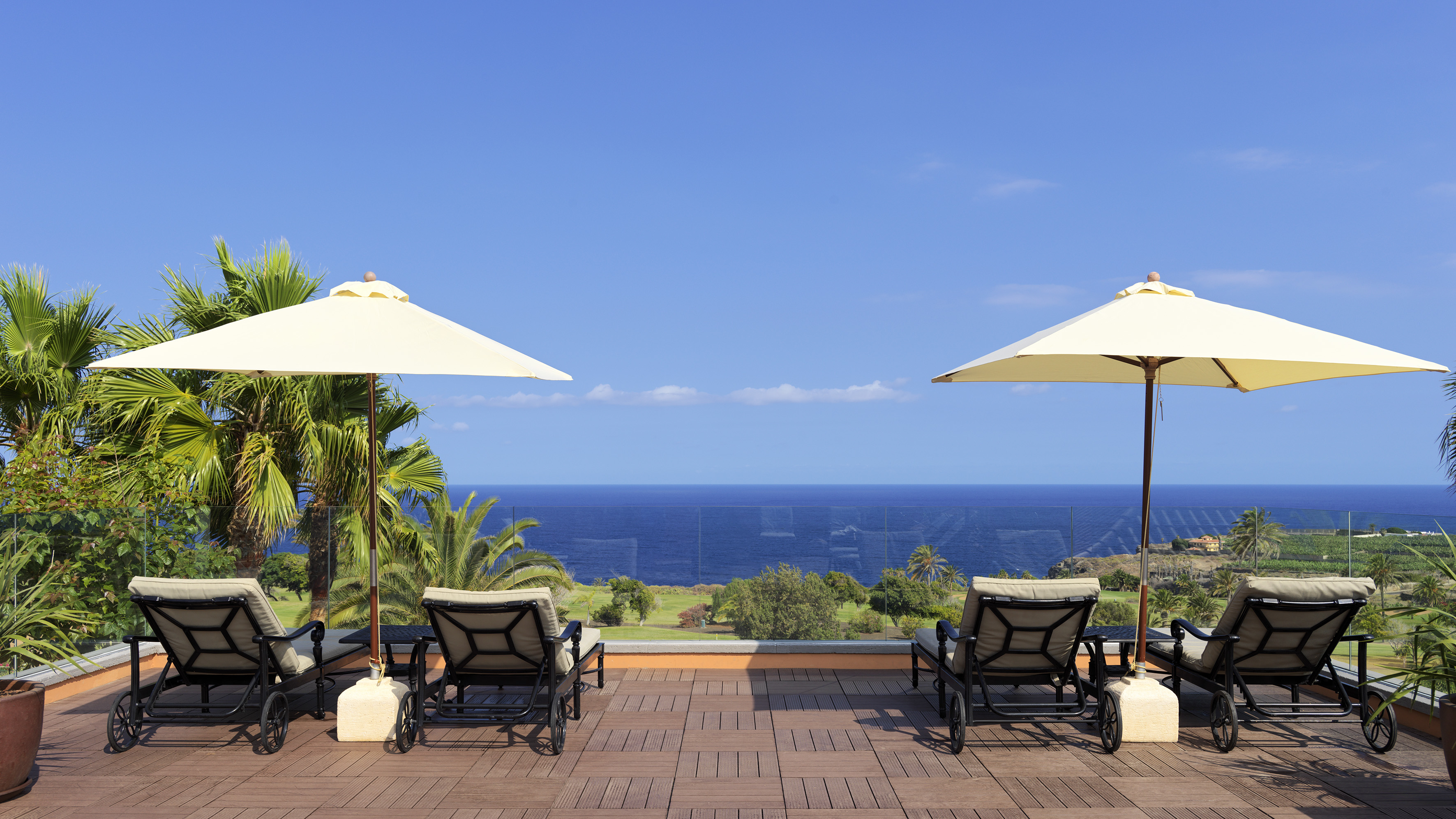 Resort deck with lounge chairs, umbrellas, palm trees, and ocean vista.