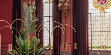 a room with a large window and a plant