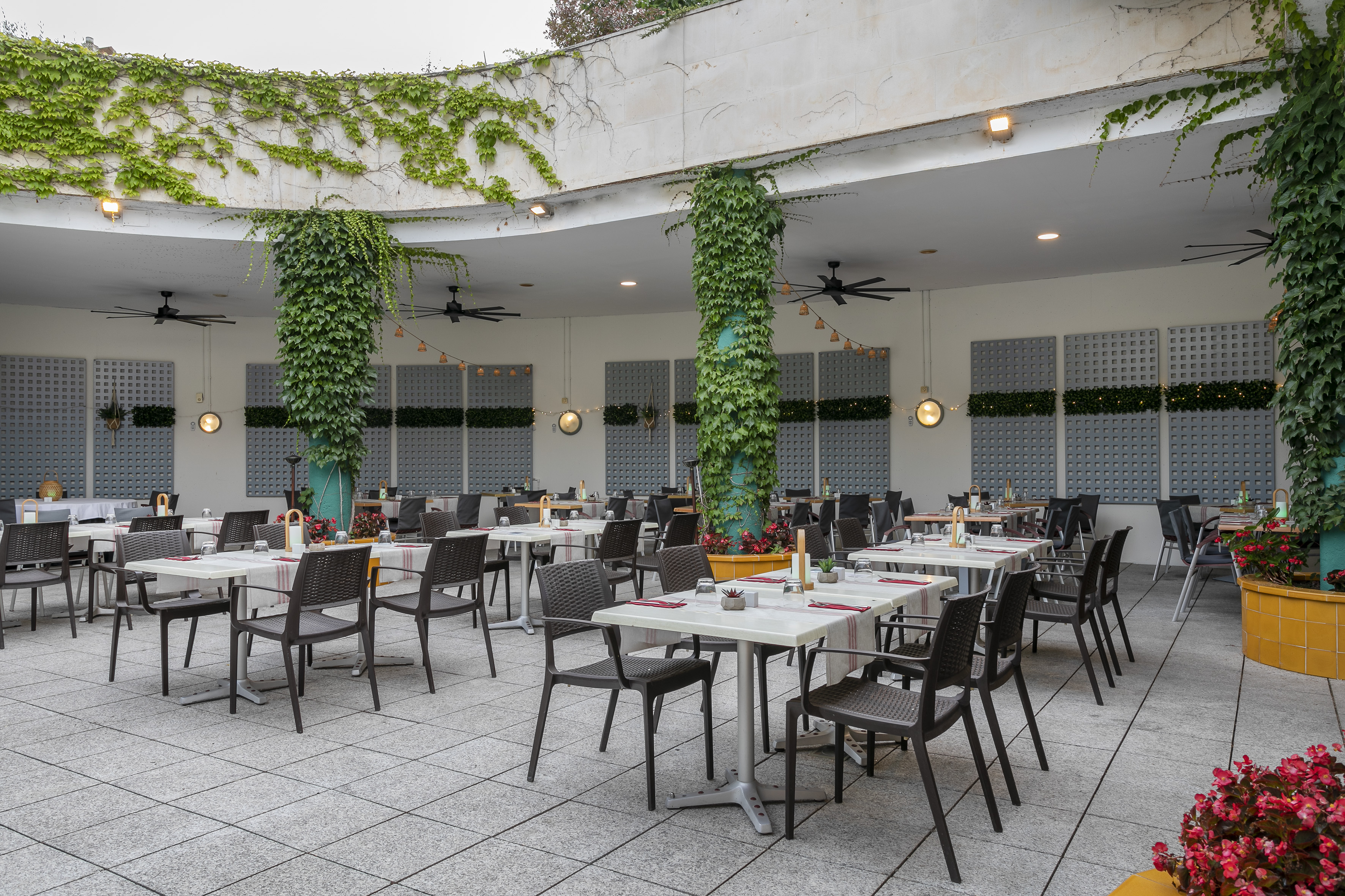 Shaded outdoor restaurant patio with dining tables, chairs, and green ivy decor.
