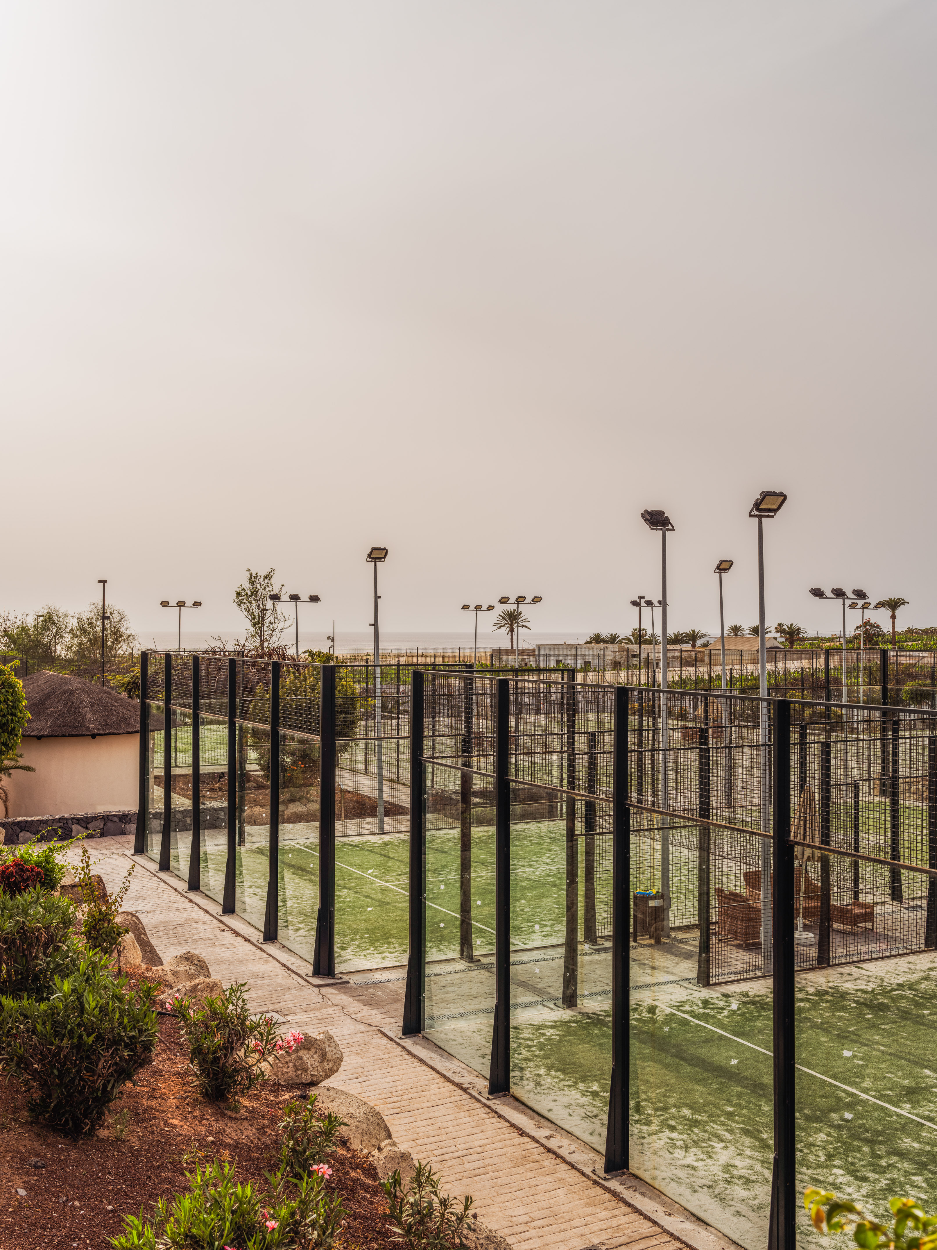 Green padel tennis courts with glass walls, floodlights, and distant ocean view.