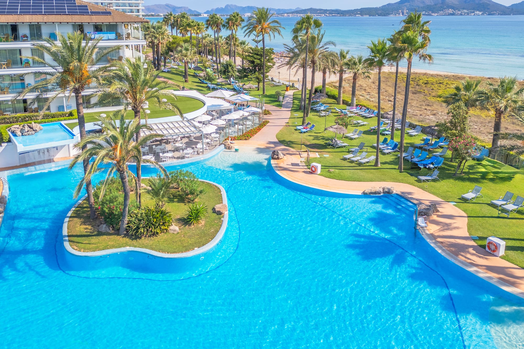 a swimming pool with palm trees and a beach