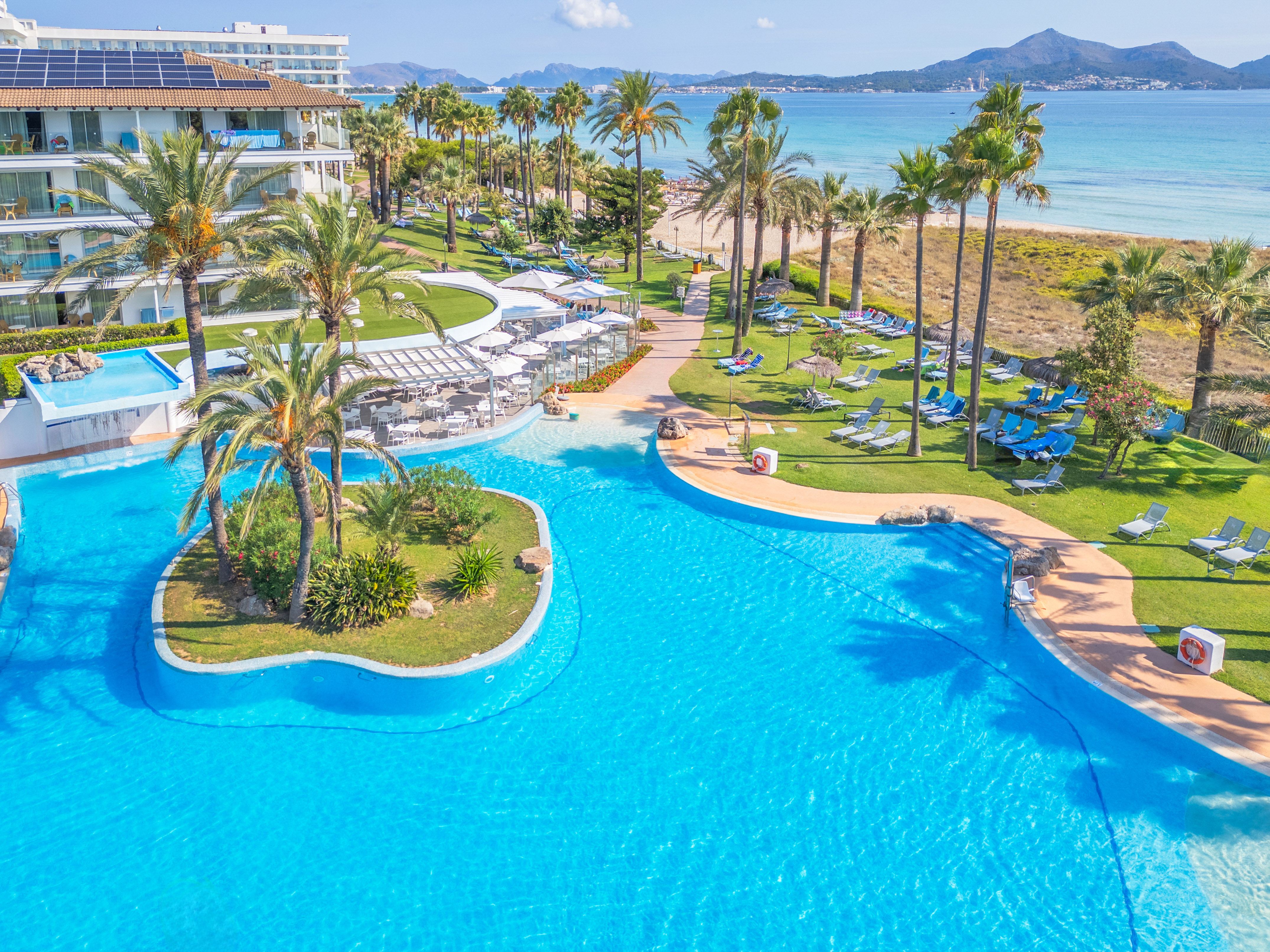 a swimming pool with palm trees and a beach