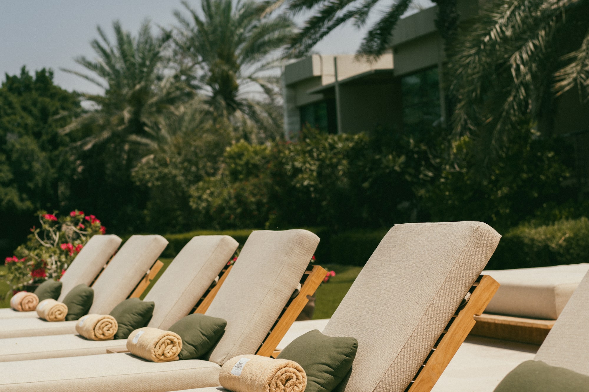 Resort sun loungers with green pillows, rolled towels, and palm trees.