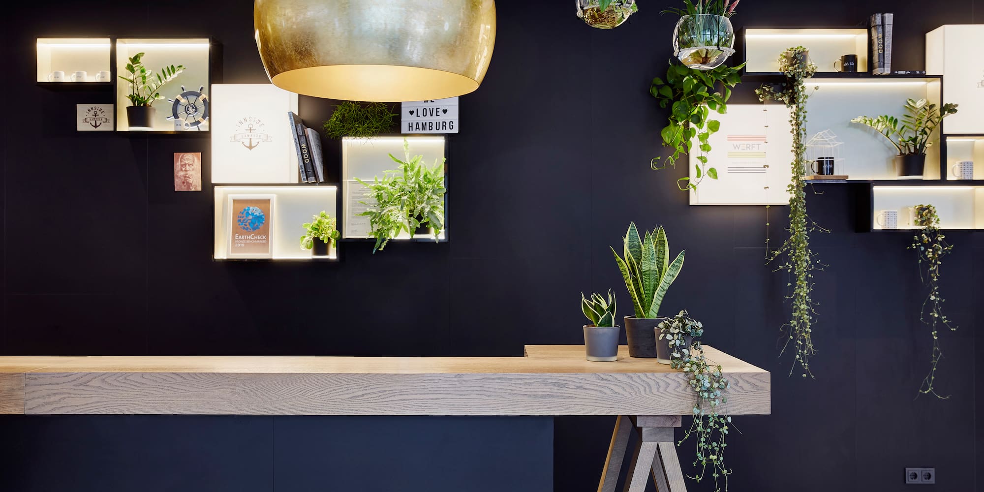a reception desk with plants from the ceiling