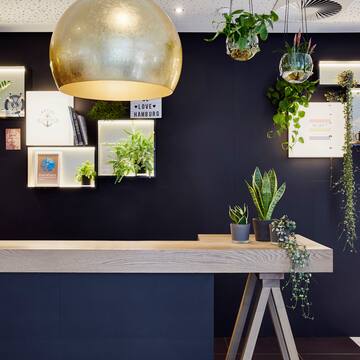 a reception desk with plants from the ceiling