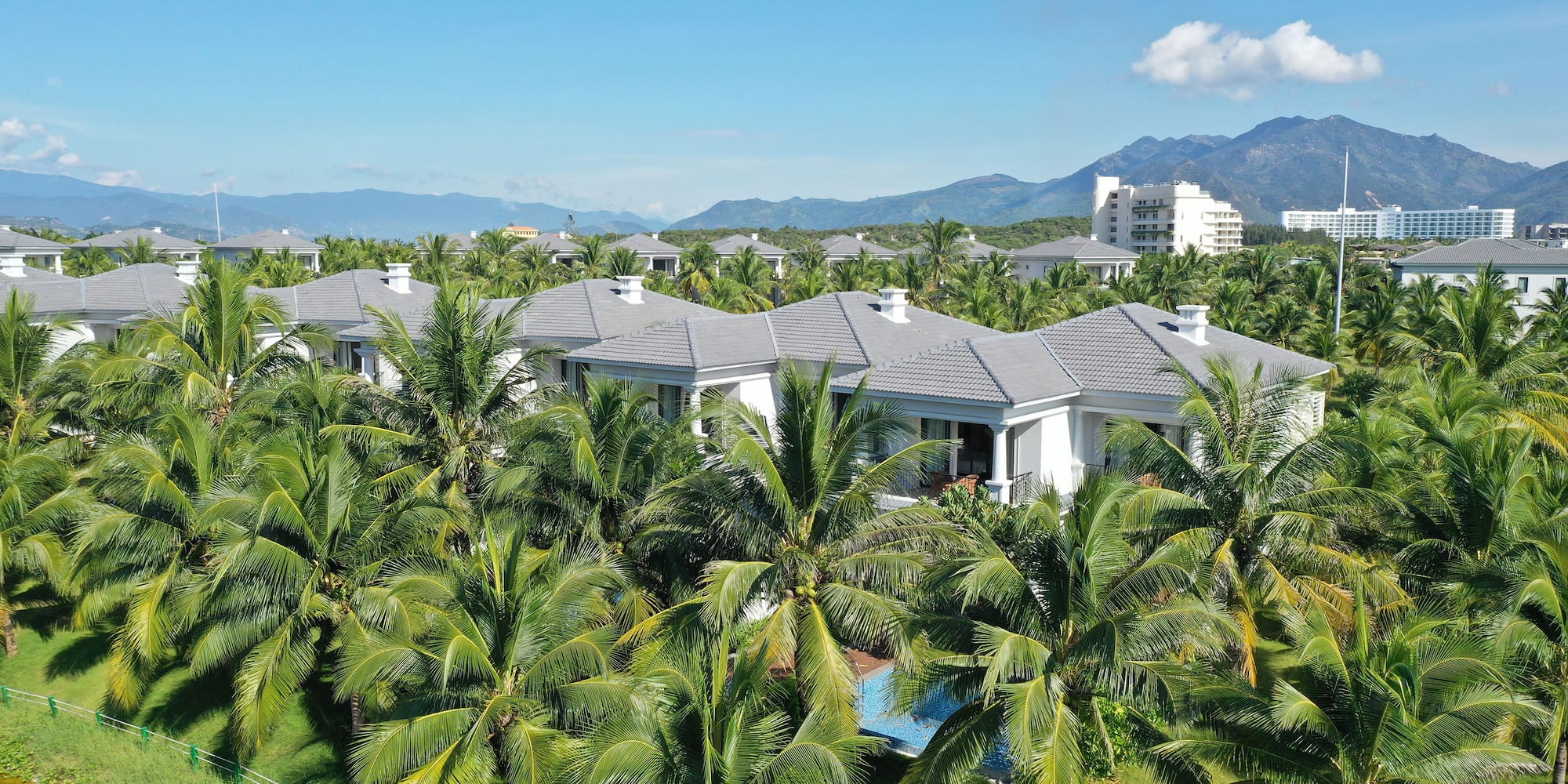 a group of houses surrounded by palm trees