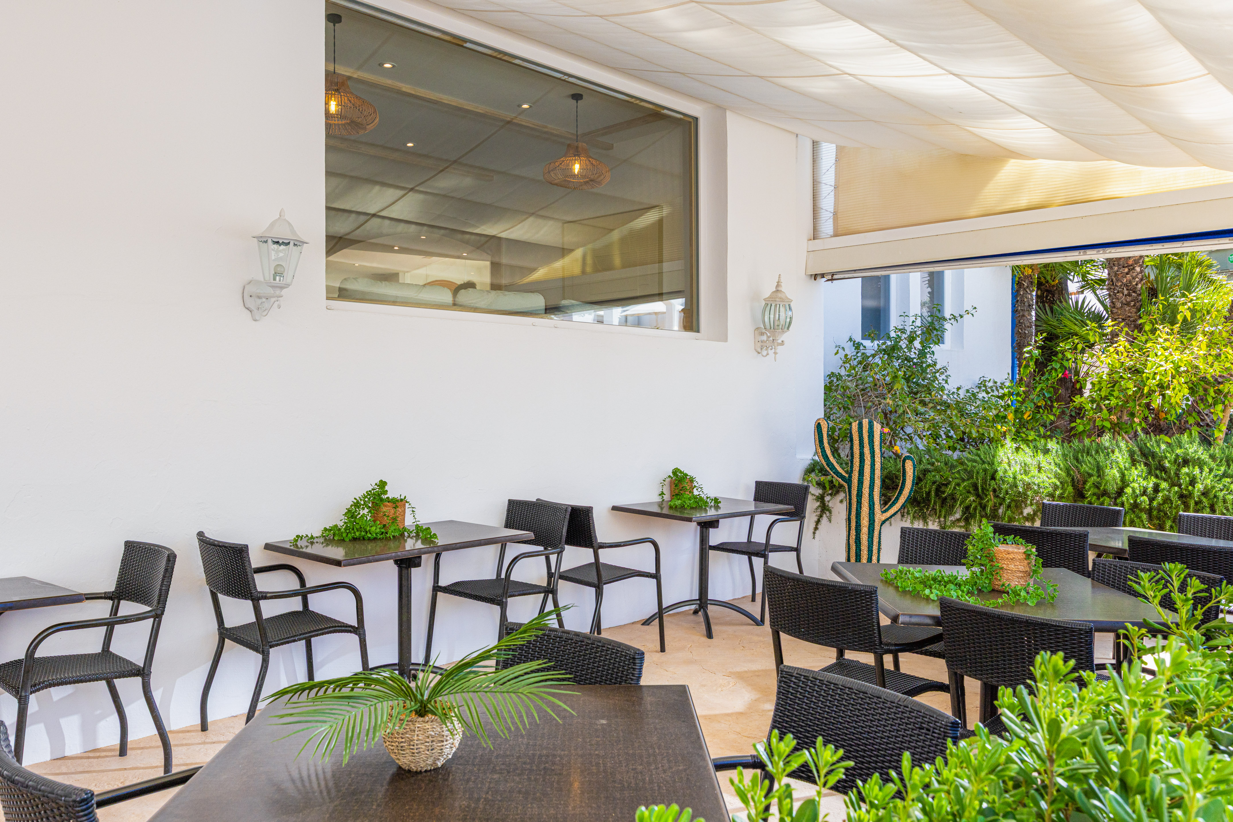 Outdoor dining area with black tables, chairs, lush green plants, and cactus decor.