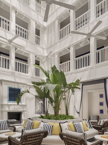 a room with a large plant in it