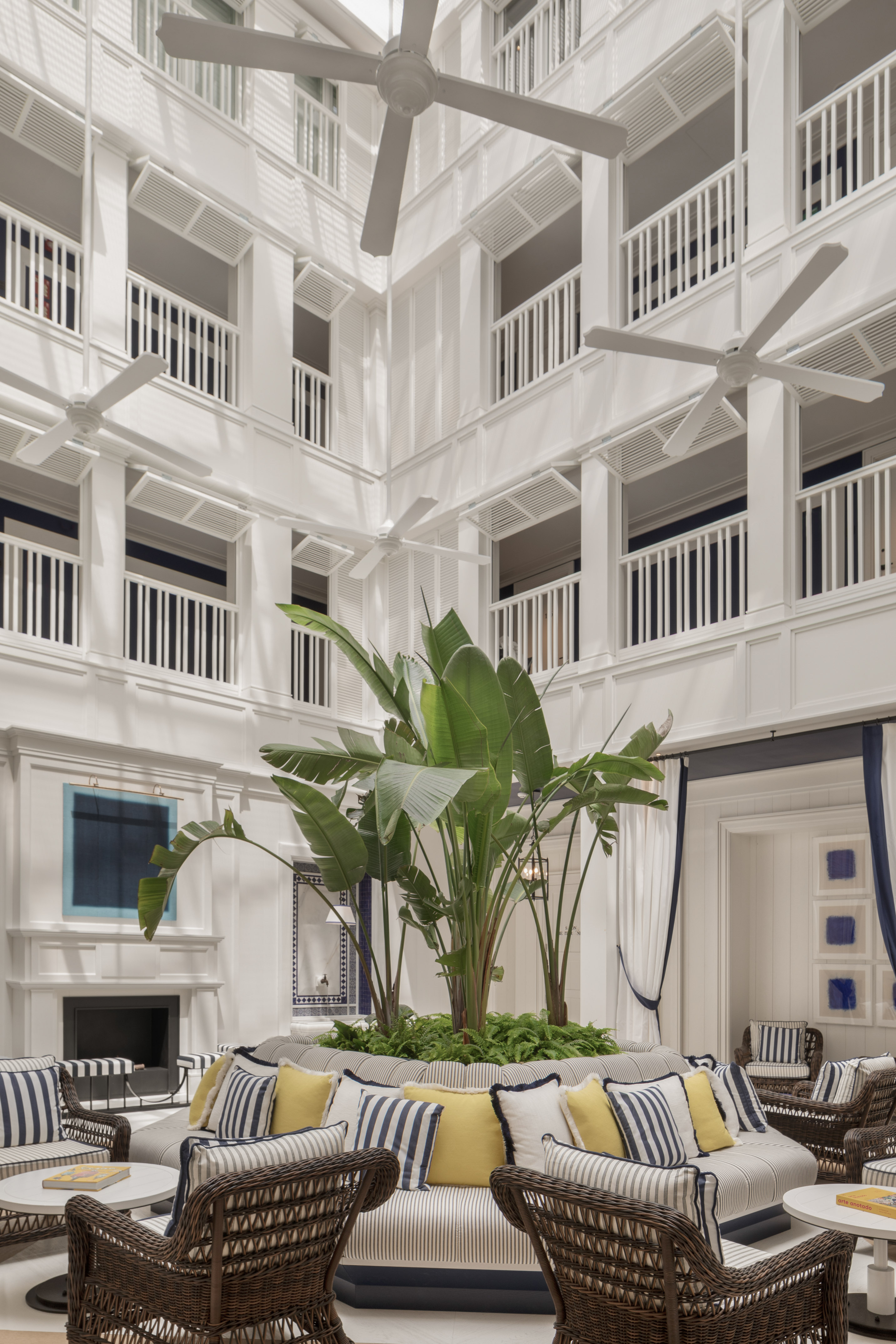 a room with a large plant in it