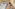 Family hotel room with two large beds, bunk beds, TV, desk, and dining area.