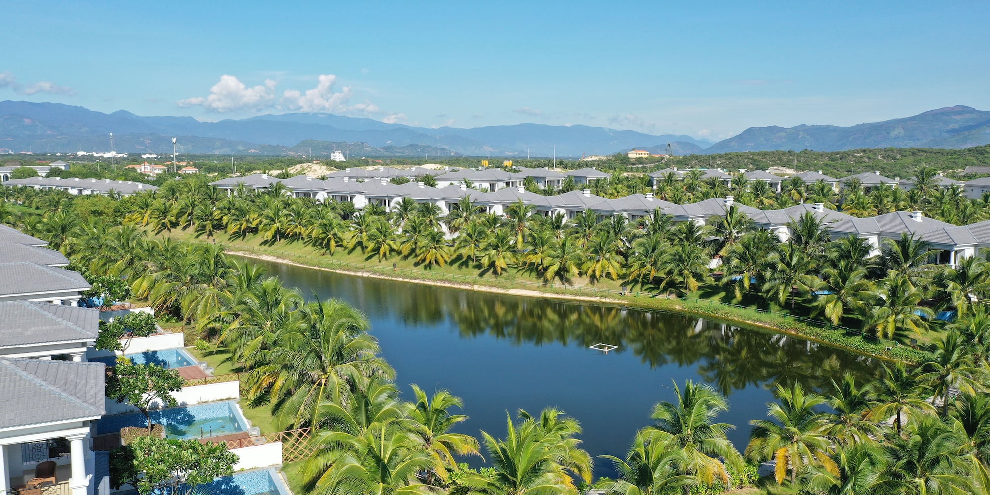 a river with palm trees and buildings