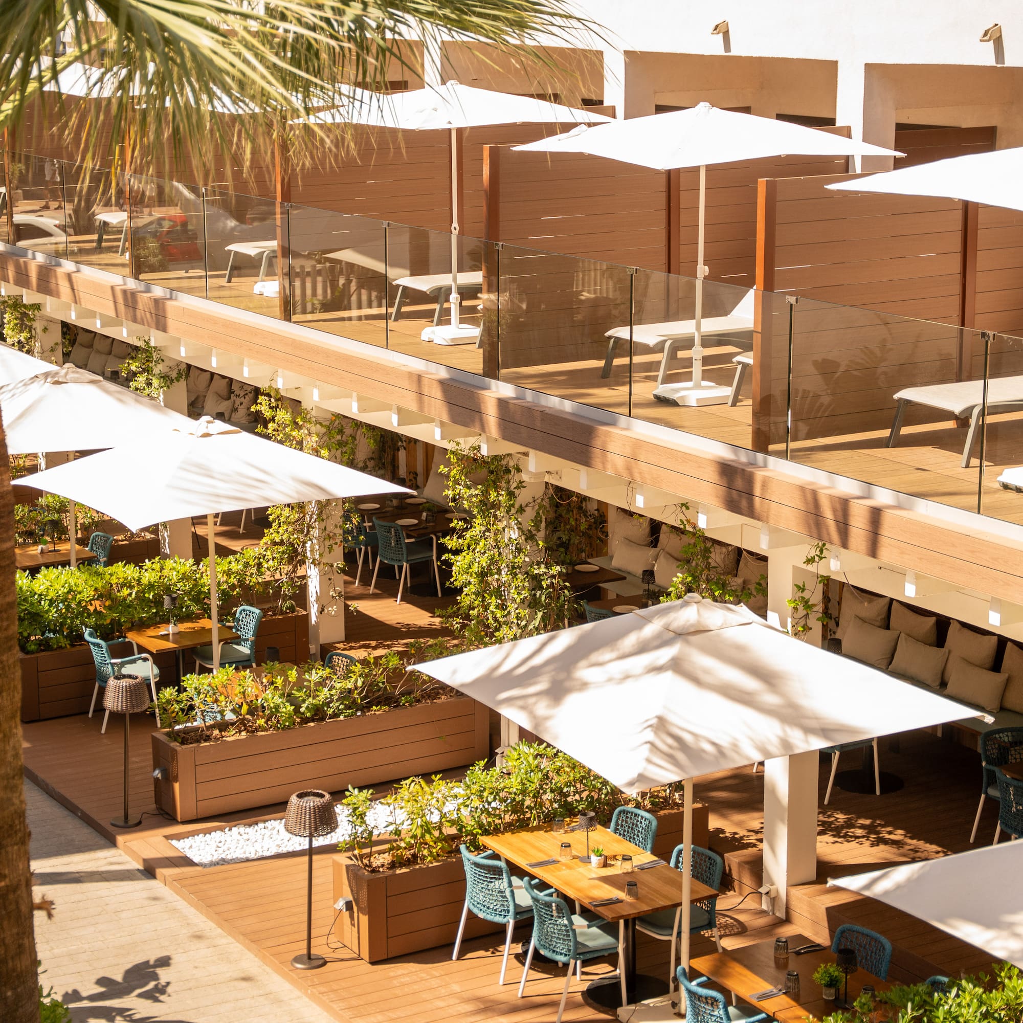Outdoor dining terrace with white umbrellas, lounge chairs, and palm trees.