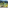 Balcony view over turquoise mountain lake, dense forest, and green park.
