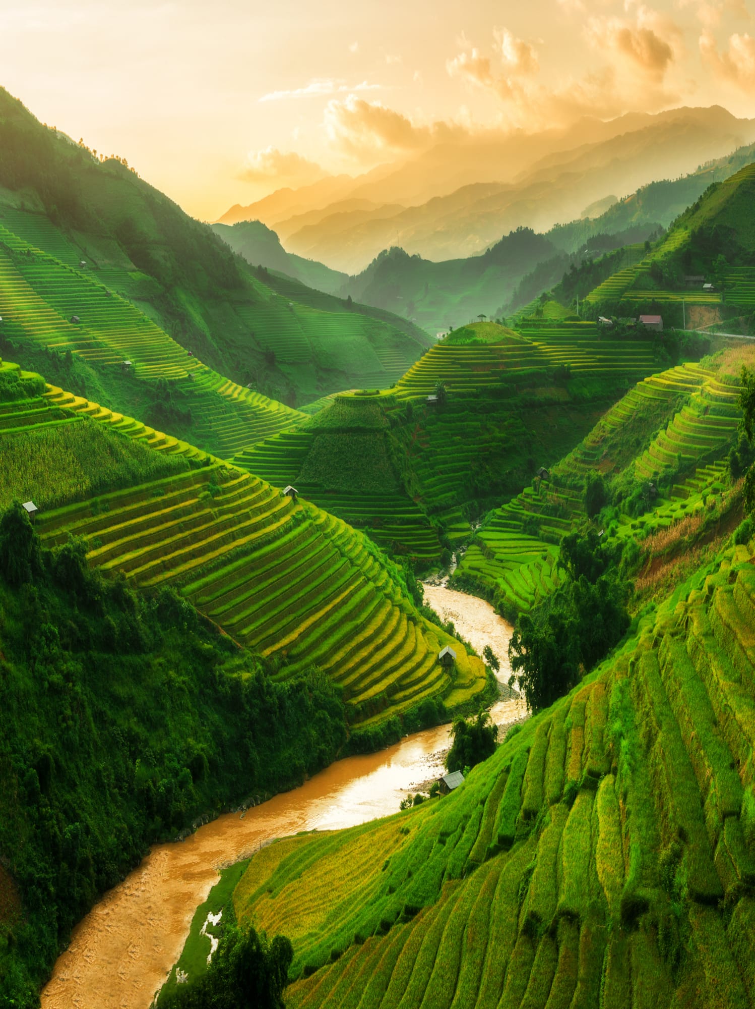 a green hills with a river