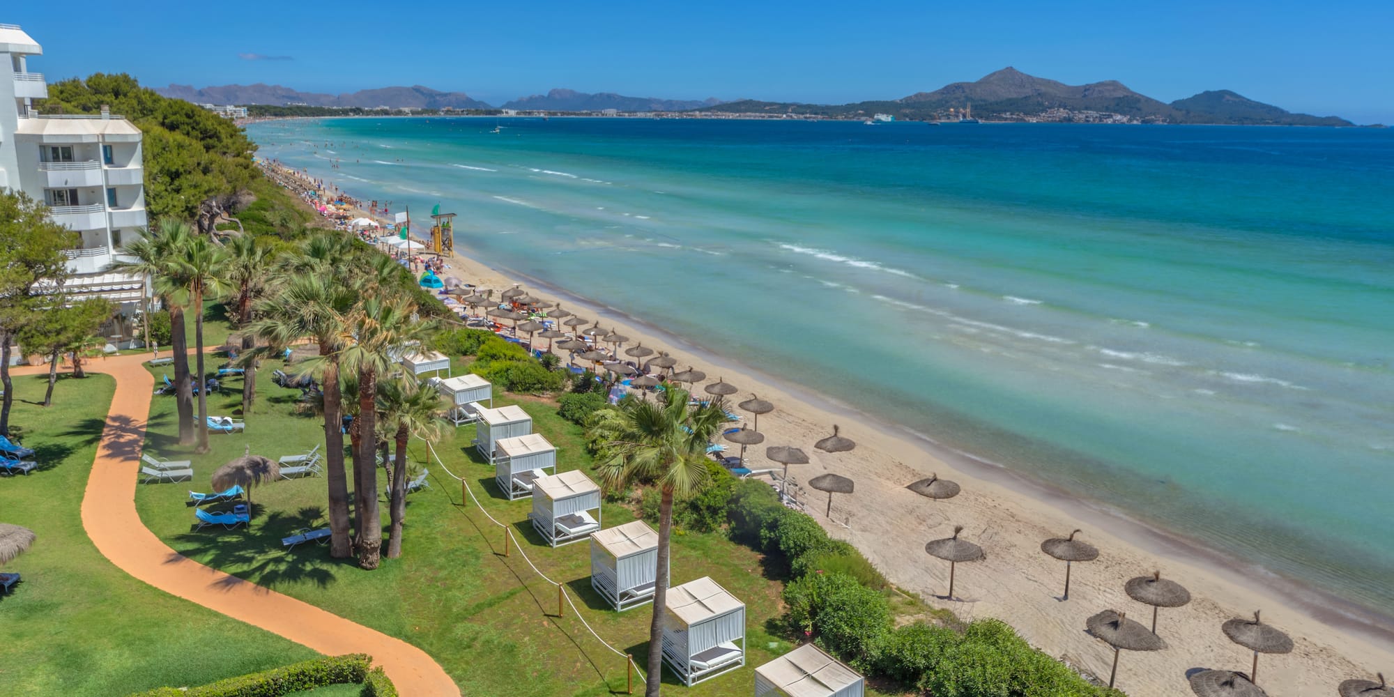 a beach with umbrellas and chairs and trees