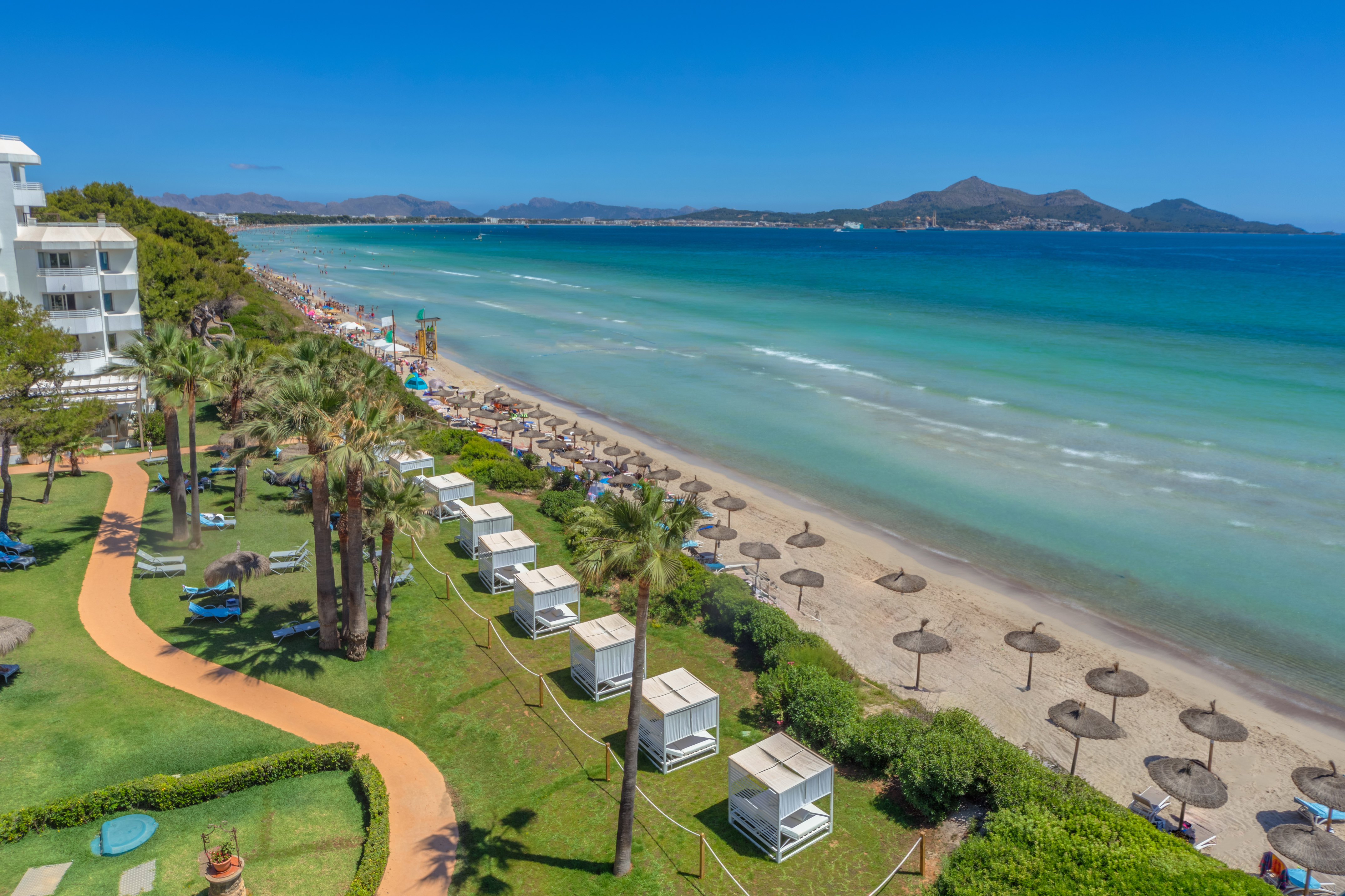 a beach with umbrellas and chairs and trees