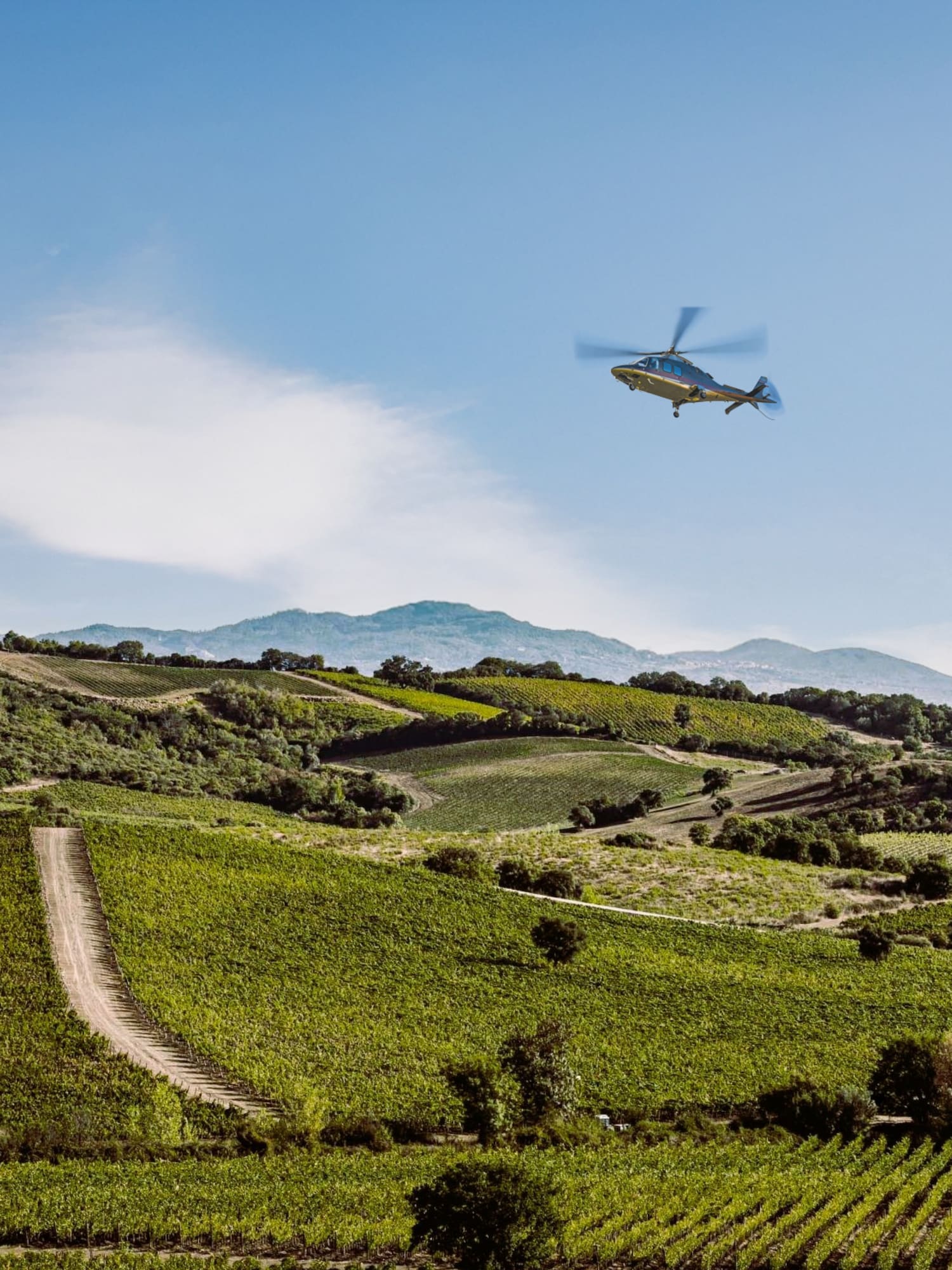 Helicopter flying over lush green vineyards in wine country.