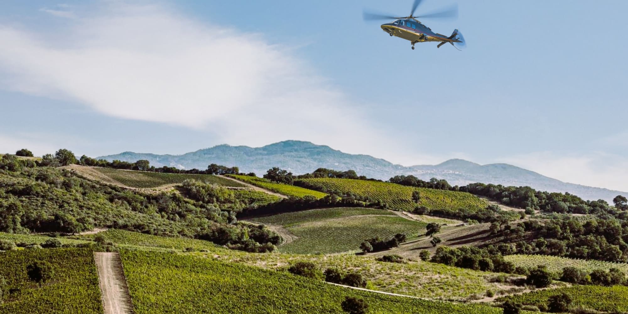 Helicopter flying over lush green vineyards in wine country.
