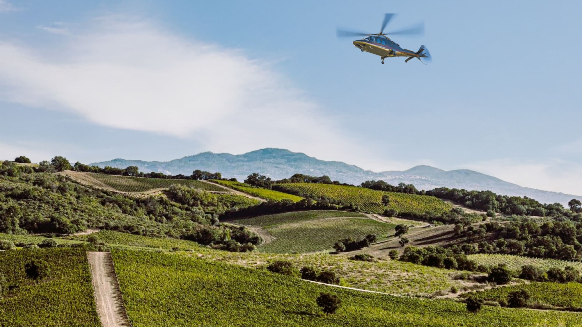 Helicopter flying over green vineyard hills with distant mountains.