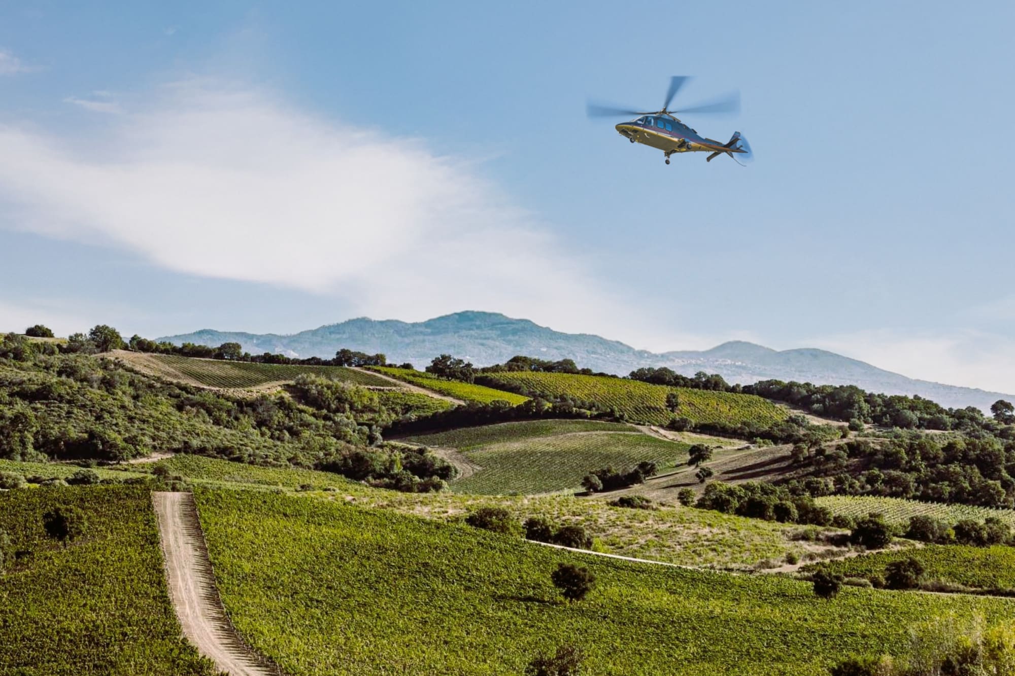 Helicopter flying over lush green vineyards in wine country.