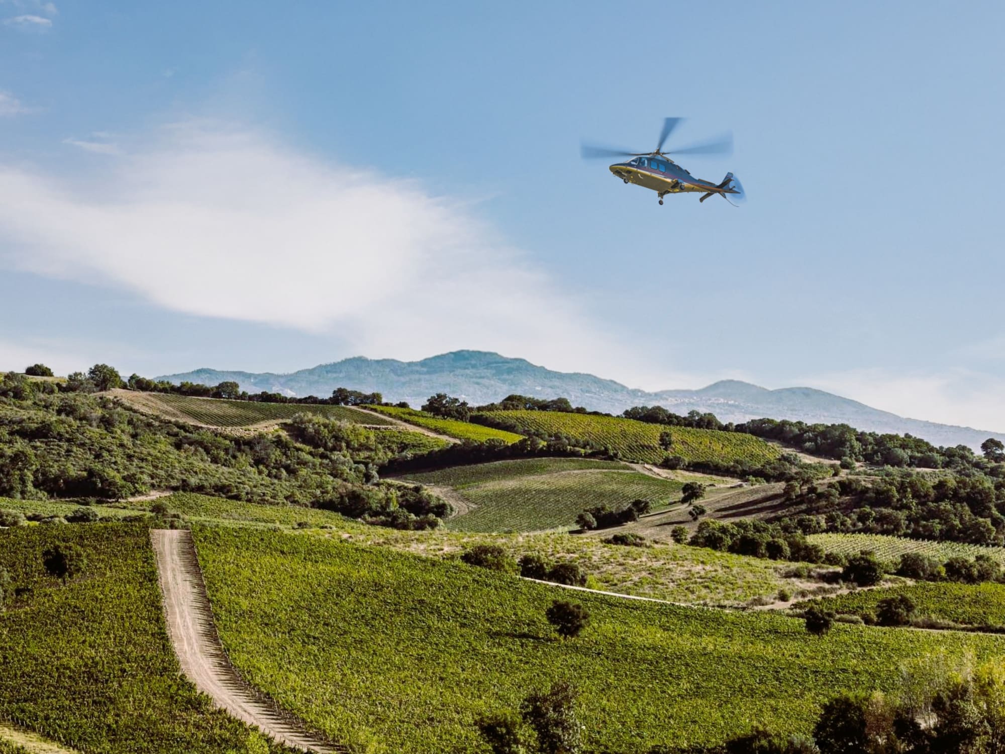 Helicopter flying over lush green vineyards in wine country.