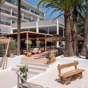 a building with palm trees and a wooden bench