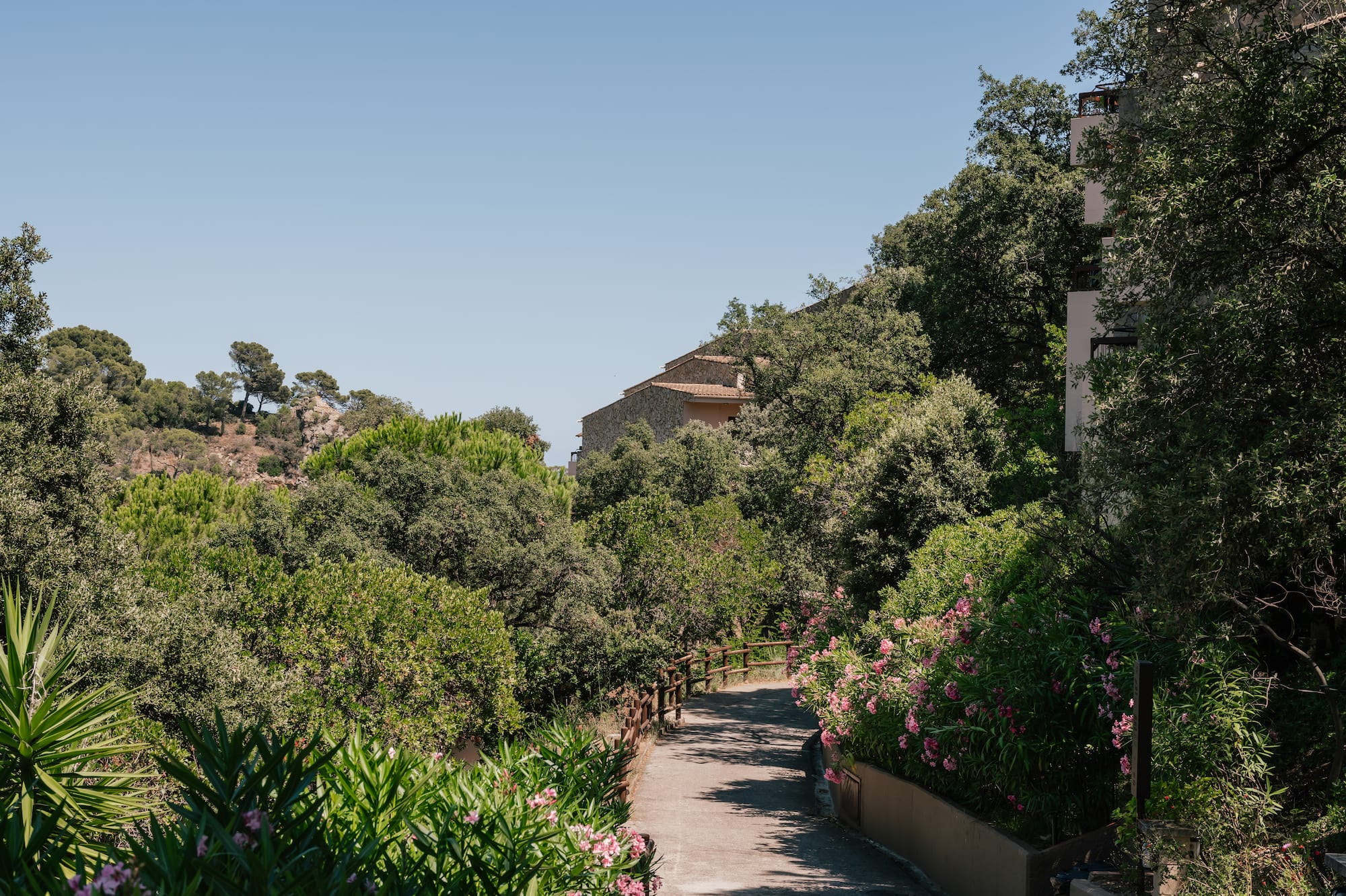Path through green Mediterranean trees and pink flowers with hillside houses.