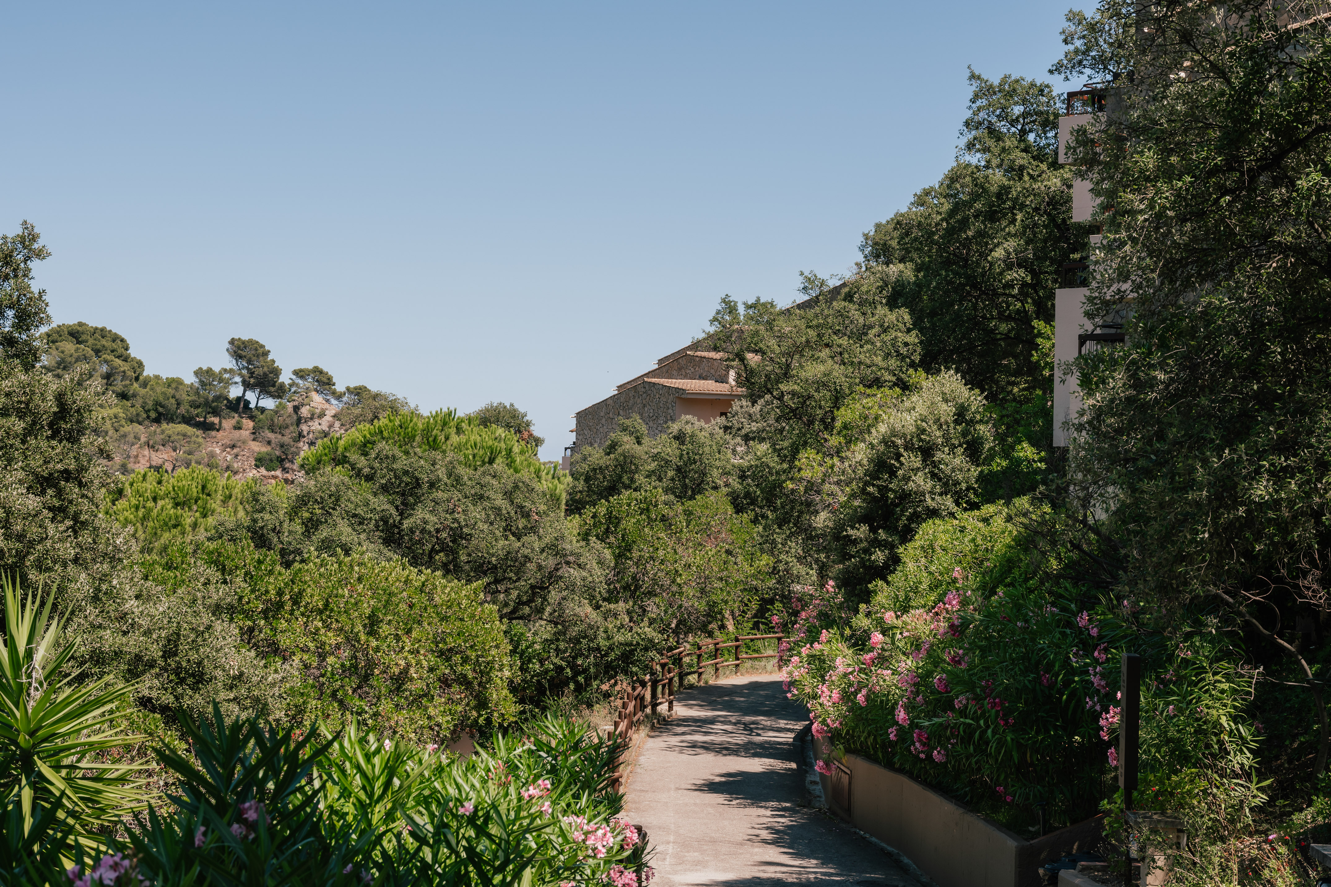 Path through green Mediterranean trees and pink flowers with hillside houses.
